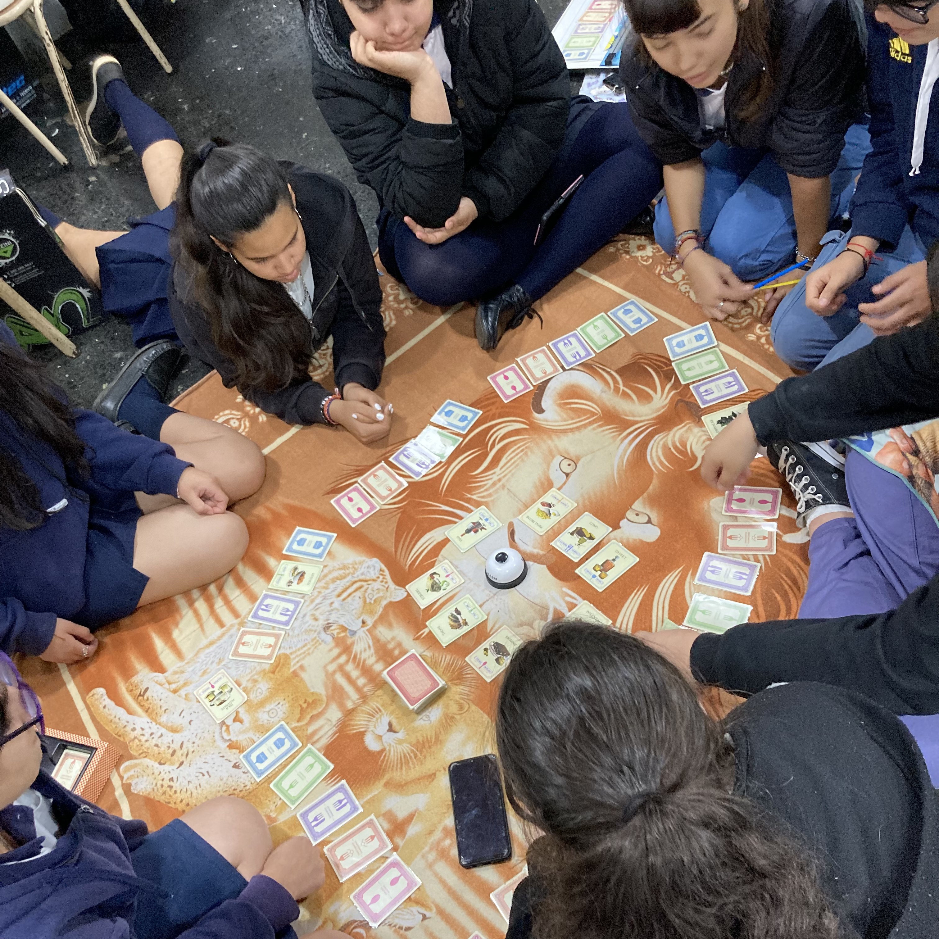 Desarrollo de competencias y educación emocional, Nivel Secundario